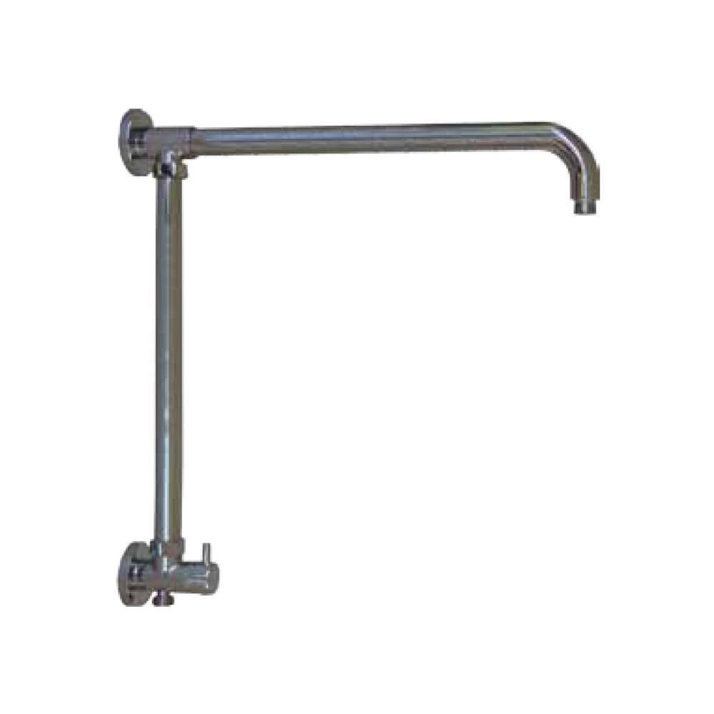 Chrome Vertical Riser with Shower Arm and Built in Diverter Z512763